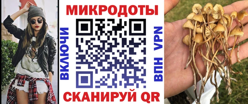 Галлюциногенные грибы MAGIC MUSHROOMS  Калтан 